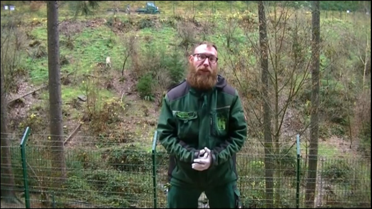 Ein Blick hinter die Kulissen