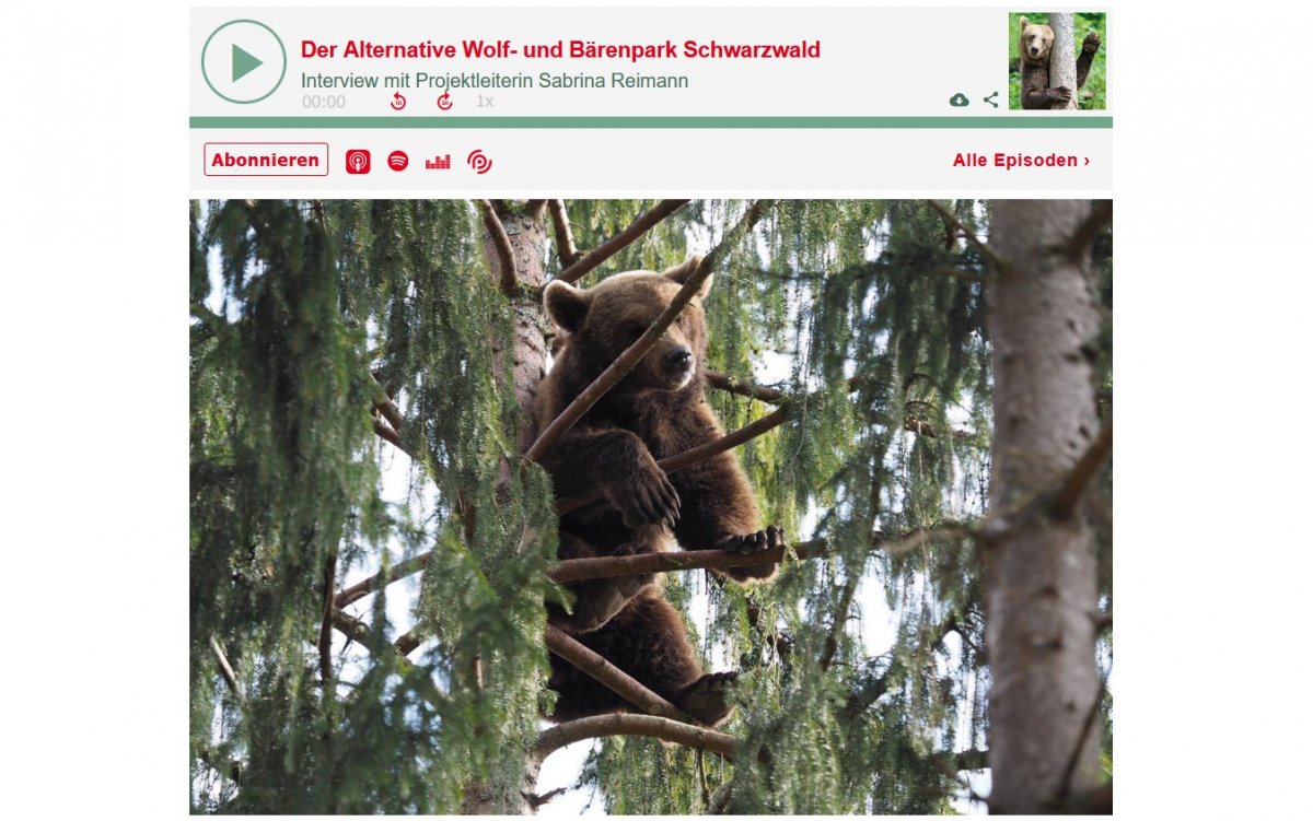 Schwarzwald Podcast mit Sarbina Reimann