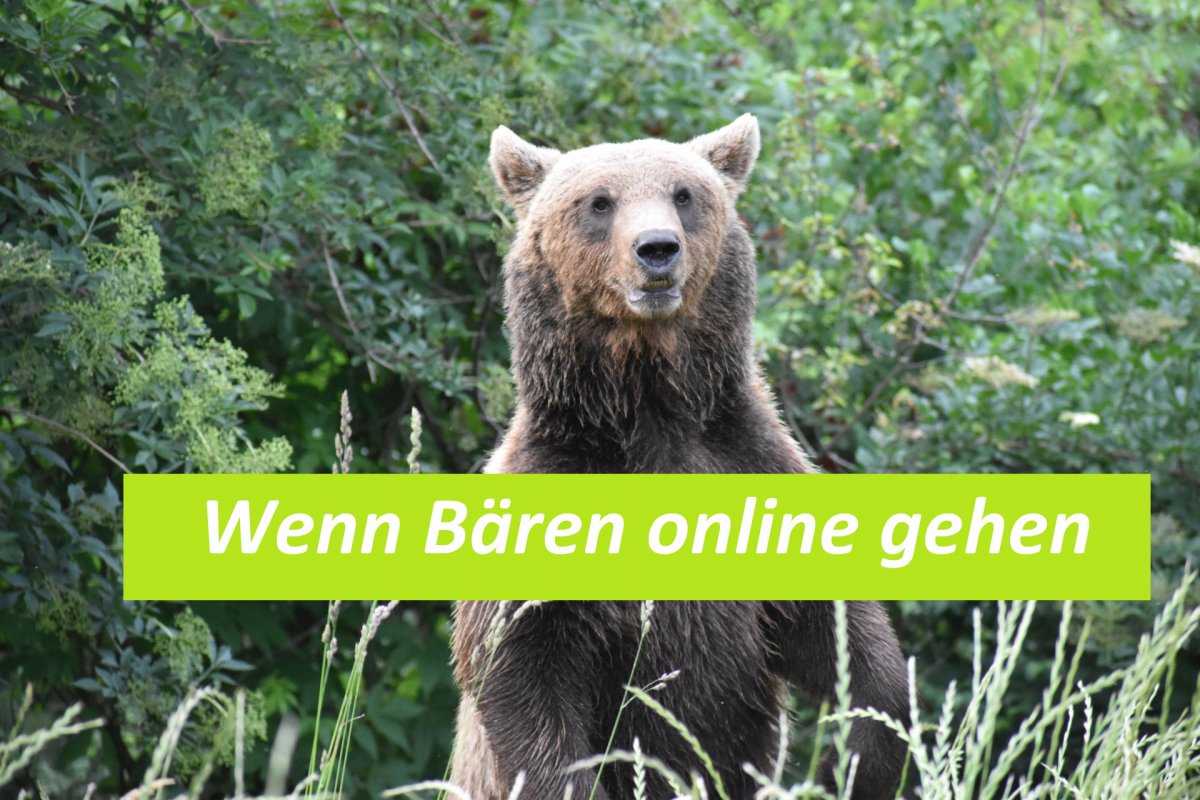 b_1200_0_0_0_0_images_01-news_2021_04_2021-04-16_wenn_baeren_online_gehen.jpg