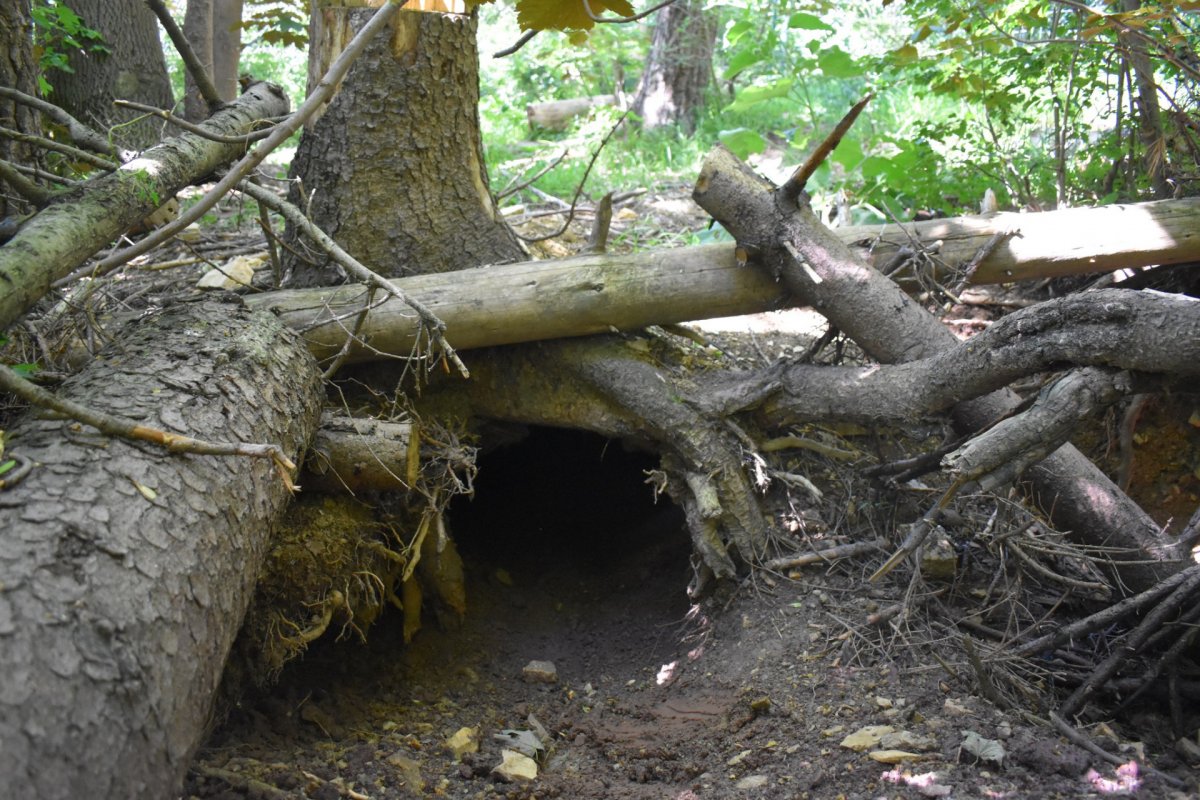 Naturhöhlen in unseren Anlagen