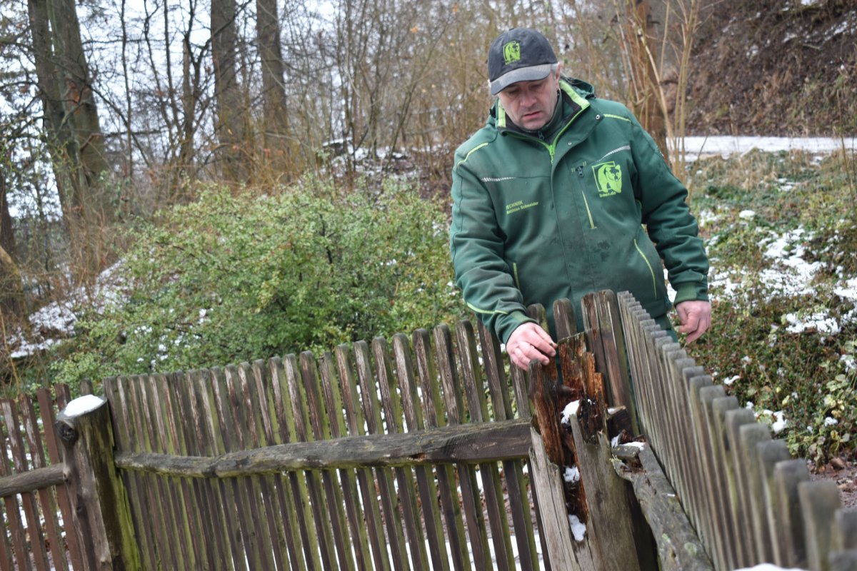 Wichtige Reparaturen in den Wintermonaten