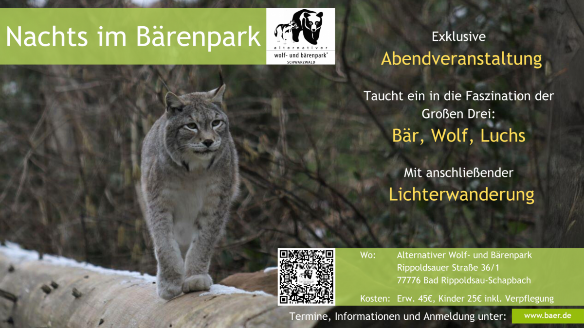 b_1200_0_0_0_0_images_01-news_2024_01_2024-01-09_nachts-im-baerenpark-website.png
