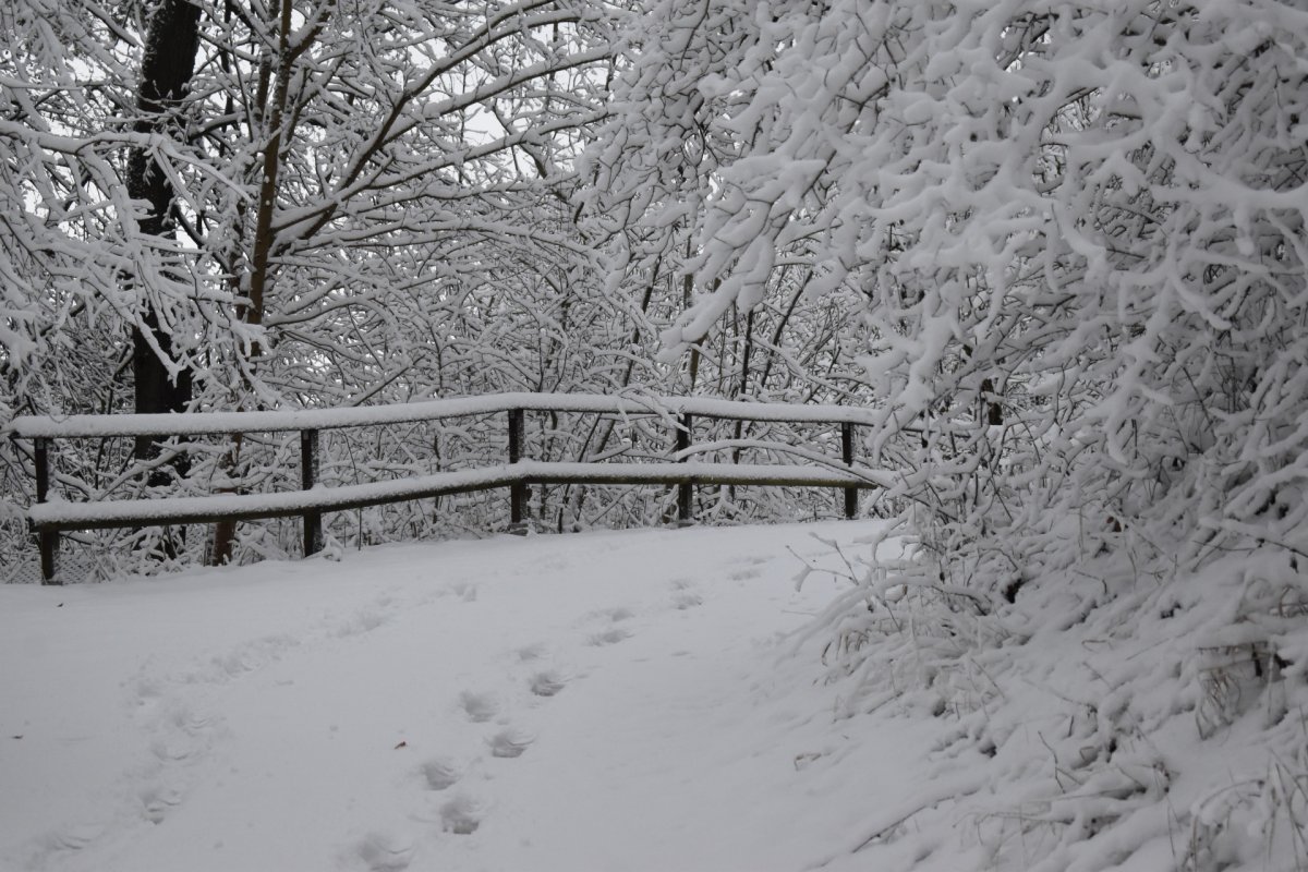 b_1200_0_0_0_0_images_01-news_2025_01_2025-10-01_abw_im_schnee.jpg