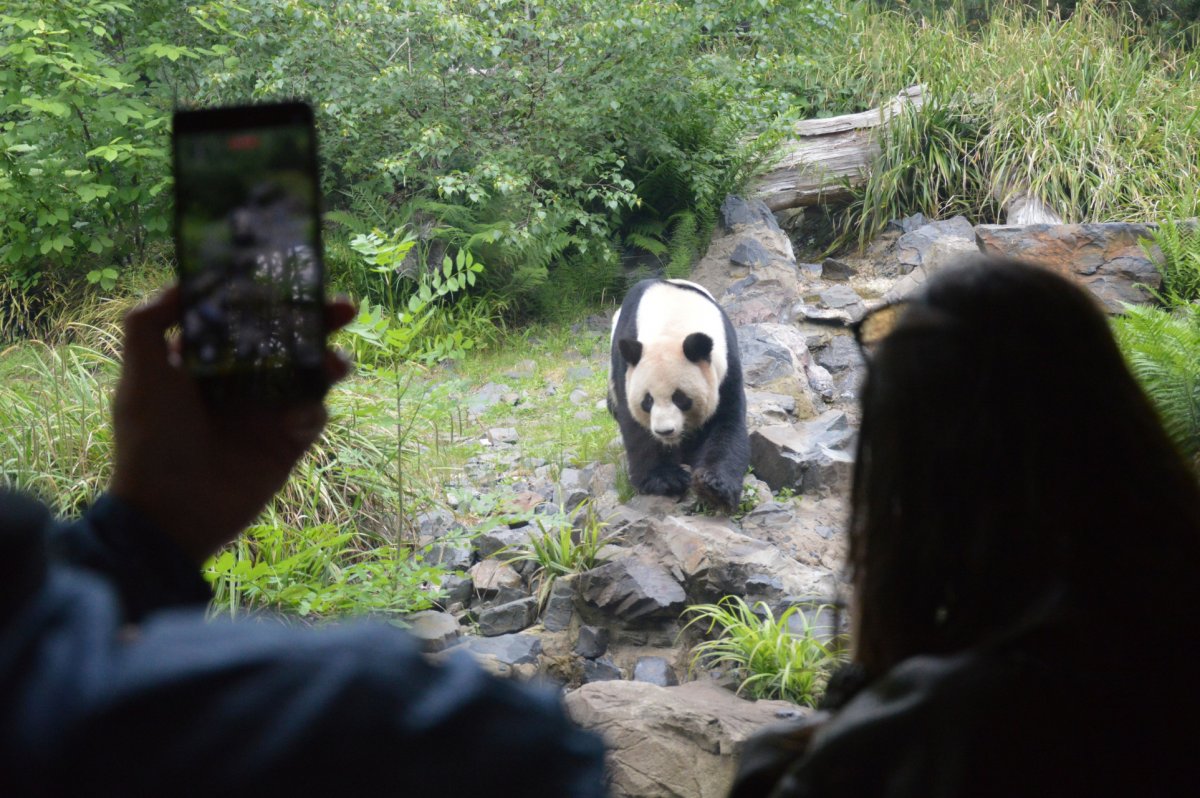 STIFTUNG fr BREN | FOUNDATION for BEARS