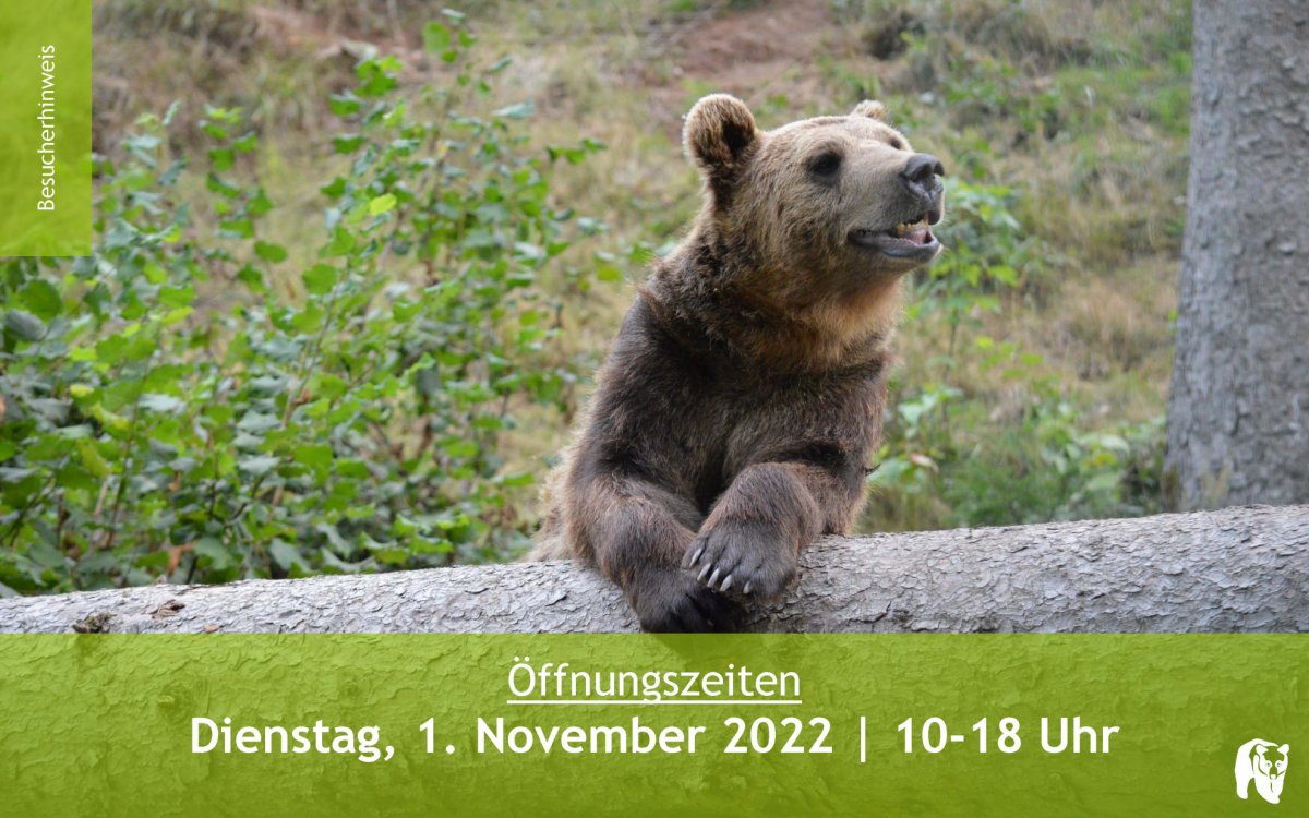 Öffnungszeiten am 01.11.2022 | 10:00-18:00 Uhr