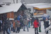 Weihnachtstrubel im Wolf-und Bärenpark