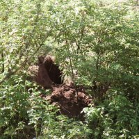 Jurkas neue Höhle