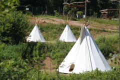 Tipi - 2