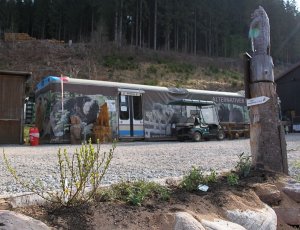 Der Frühling macht auch vor dem Bärenpark nicht halt!