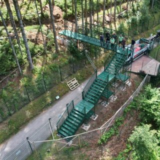 Brückenbau im Bärenpark Schwarzwald