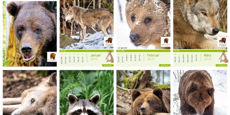 Weiterlesen ... Weiterlesen ...