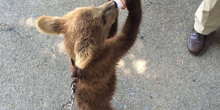 Weiterlesen ... Weiterlesen ...