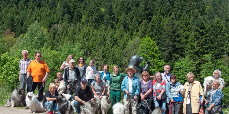 Gruppe Ortenau-Breisgau des Vereins für Deutsche Spitze