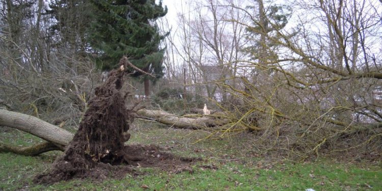 Weiterlesen ... Weiterlesen ...