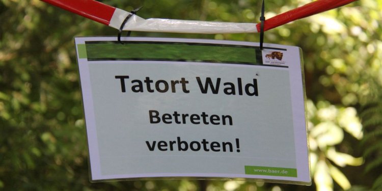 Weiterlesen ...