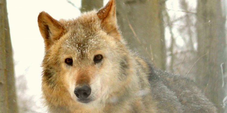 Weiterlesen ... Weiterlesen ...