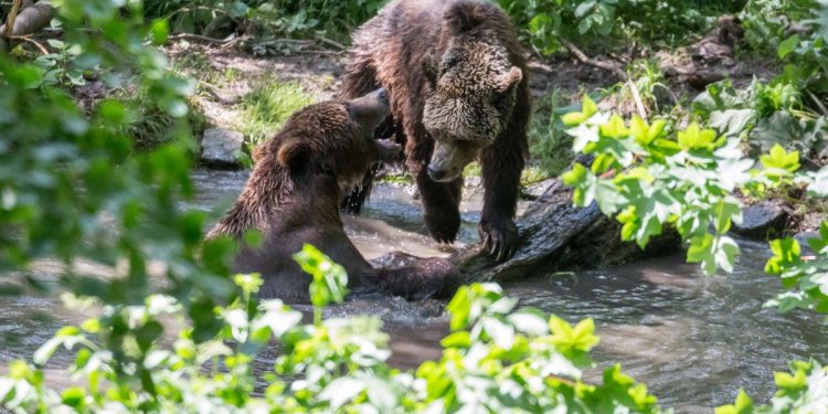 Weiterlesen ... Weiterlesen ...