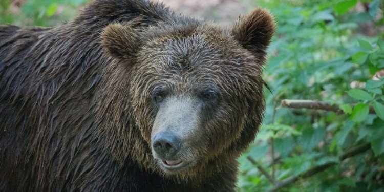 Weiterlesen ... Weiterlesen ...
