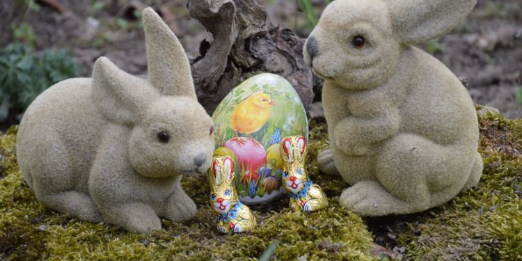 Weiterlesen ... Weiterlesen ...