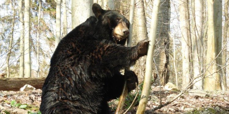 Weiterlesen ... Weiterlesen ...