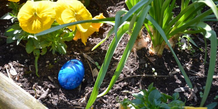 Weiterlesen ... Weiterlesen ...