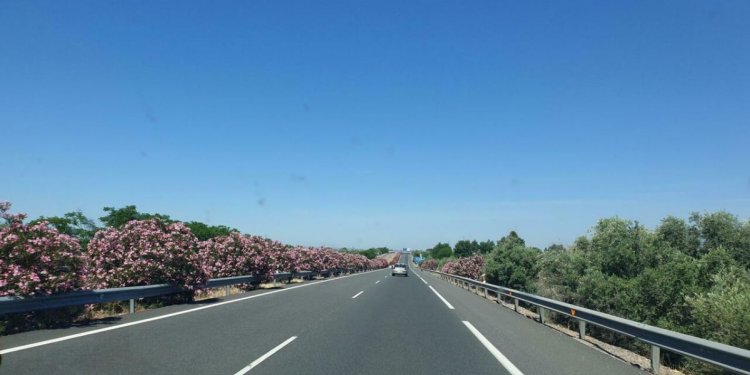 Tag 2 des Rettungsteam auf dem Weg zu DARIA und DORO. 