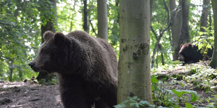 Weiterlesen ... Weiterlesen ...