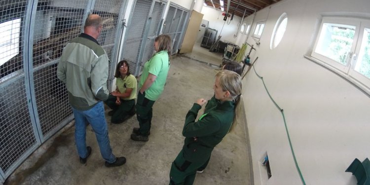 Weiterlesen ... Weiterlesen ...