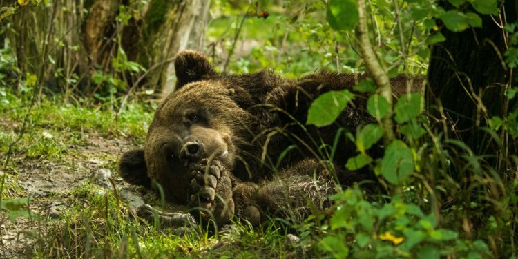 Weiterlesen ... Weiterlesen ...