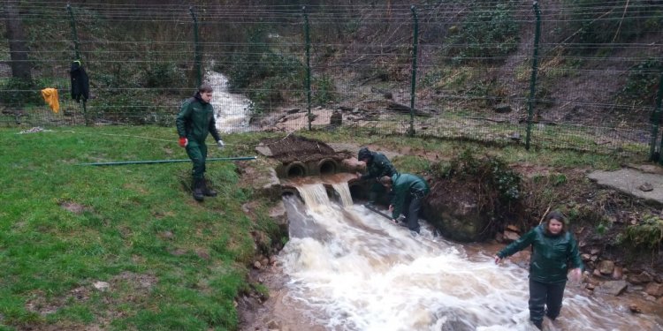 Hochwasser