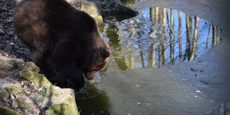 Weiterlesen ... Weiterlesen ...