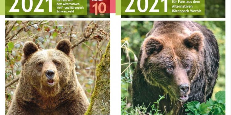 Bärenkalender 2021