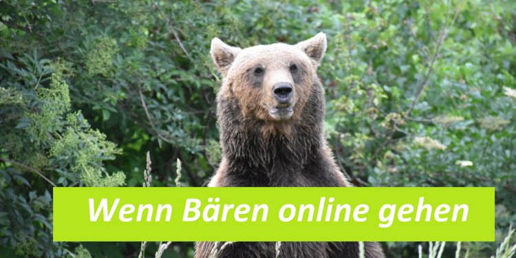 c_750_375_16777215_0_0_images_01-news_2021_04_2021-04-16_wenn_baeren_online_gehen.jpg