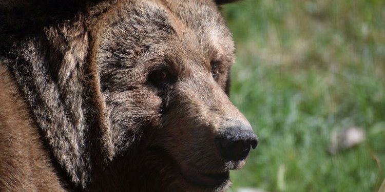 Weiterlesen ... Weiterlesen ...