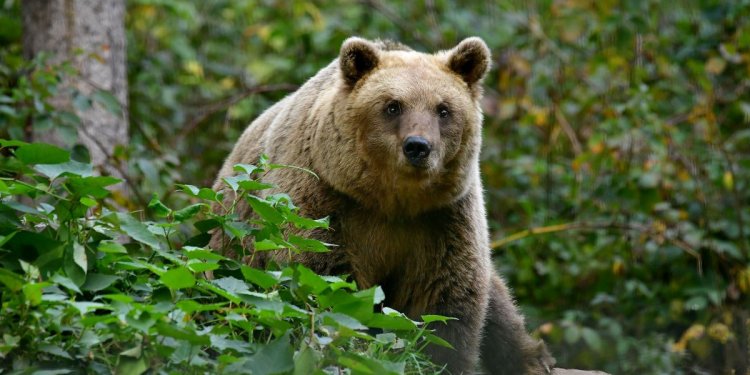 Weiterlesen ... Weiterlesen ...