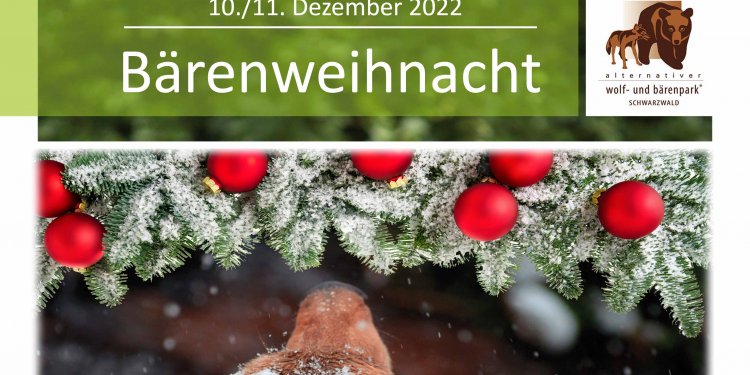 c_750_375_16777215_0_0_images_01-news_2022_11_2022-10-15-plakat-bärenweihnacht-2022-pdf.jpg