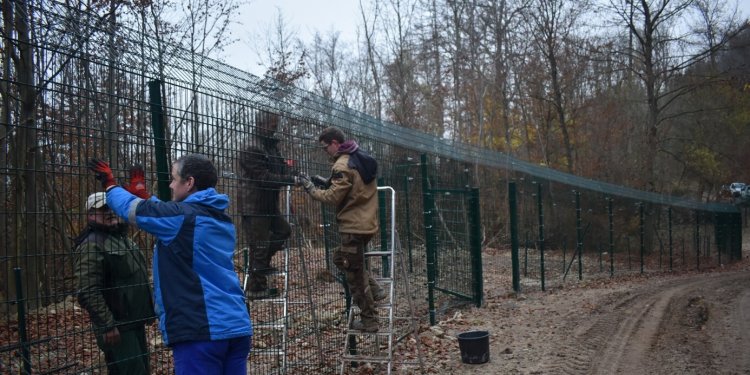 Zaunbau im Bärenpark Worbis