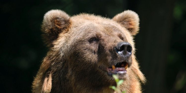 Weiterlesen ... Weiterlesen ...