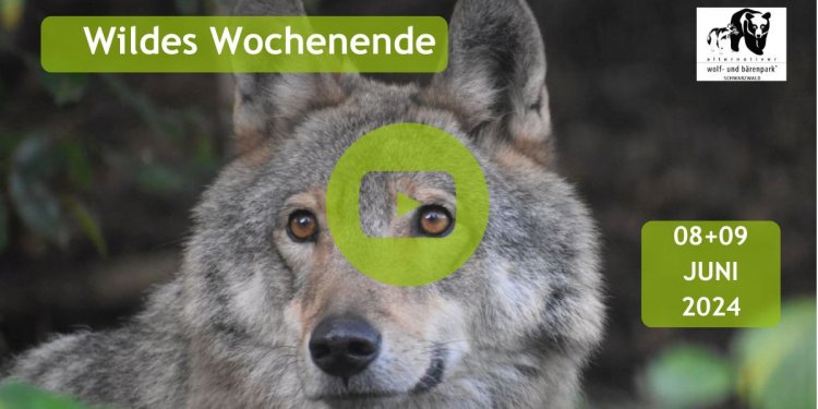 Weiterlesen ...