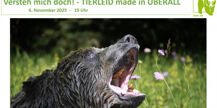 c_750_375_16777215_0_0_images_01-news_2024_12_2025-11-06-versteh-mich-doch.jpg