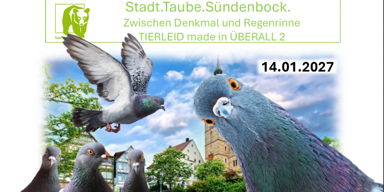 c_750_375_16777215_0_0_images_01-news_2024_12_2026-01-14-stadt_taube_suendenbock_.png
