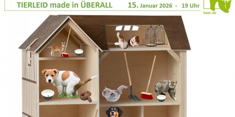 c_750_375_16777215_0_0_images_01-news_2024_12_2026-01-15-tierheimalltag-.jpg