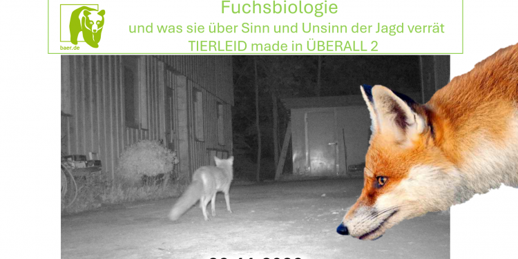 c_750_375_16777215_0_0_images_01-news_2024_12_2026-11-26-fuchsbiologie-.png
