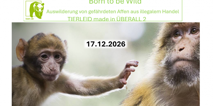 c_750_375_16777215_0_0_images_01-news_2024_12_2026-12-17-born-to-be-wild-.png
