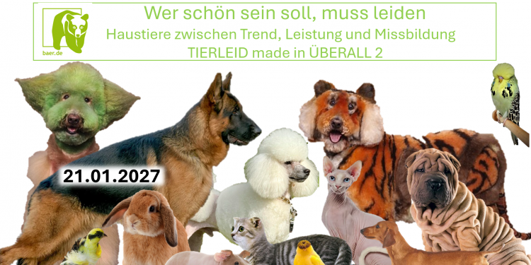 c_750_375_16777215_0_0_images_01-news_2024_12_2027-01-21-wer-schoen-sein-soll-muss-leiden.png