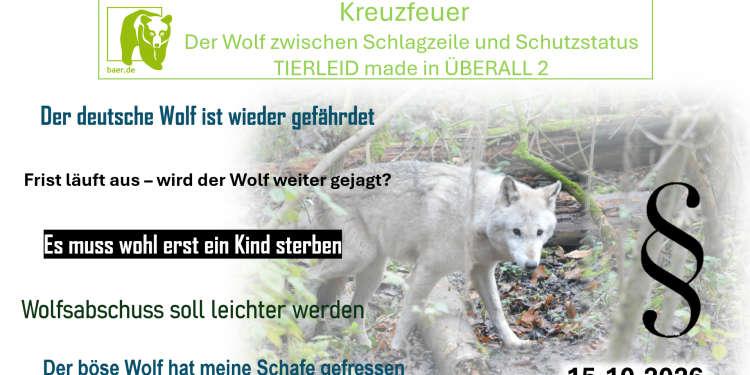c_750_375_16777215_0_0_images_01-news_2025_08__original_2026-10-09_tierleid_made_in_ueberall_2.png
