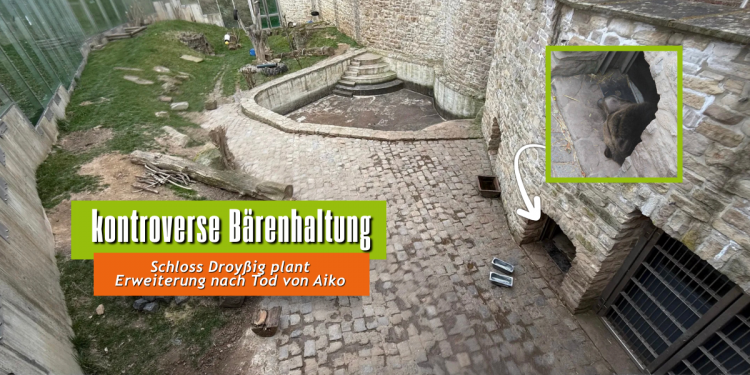 c_750_375_16777215_0_0_images_01-news_2025_08_ein-schlossgraben-ist-kein-zuhause-fuer-baeren_-mit-aikos-tod-muss-die-haltung-in-droyssig-endlich-geschichte-sein_-1200-x-600-p_p24091.png