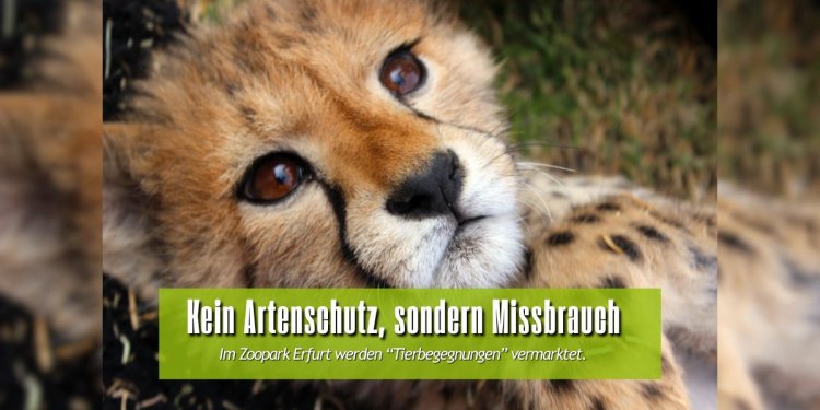c_750_375_16777215_0_0_images_01-news_2025_09_zoopark-erfurt-1200-x-600-px.jpg