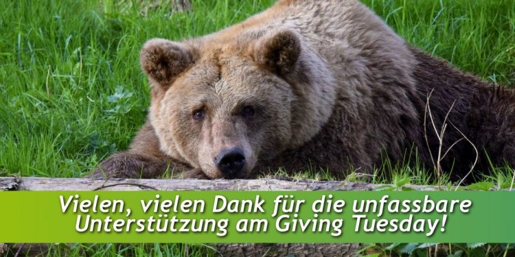 c_750_375_16777215_0_0_images_01-news_2025_12_givingtuesday_danke.jpg