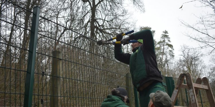 Zaunbau im Bärenpark Worbis